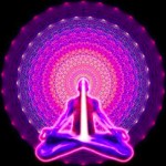 JORNADAS DE NOVIEMBRE EN PLENITUD